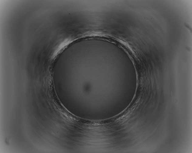 X0000091641359200709131423