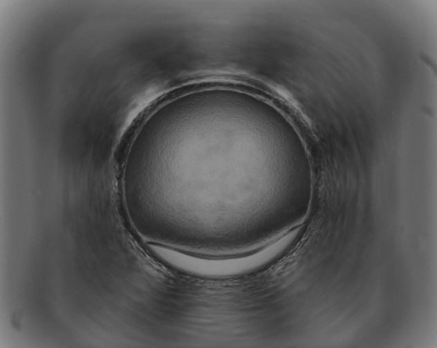 X0000091641360200709131423
