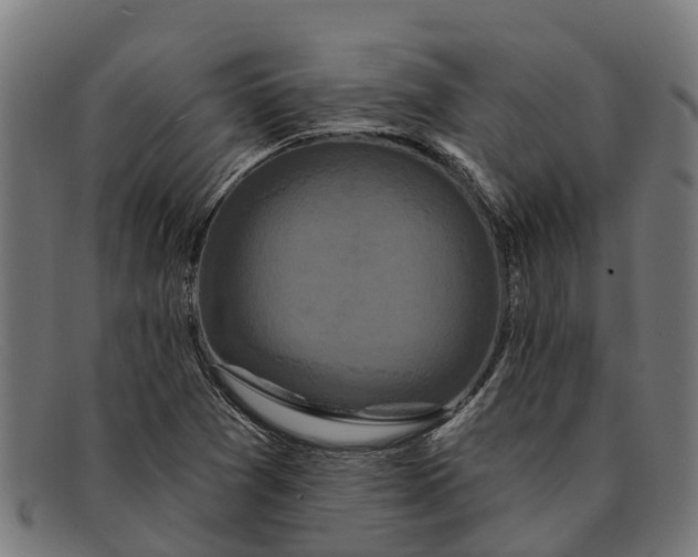 X0000091641361200709131423