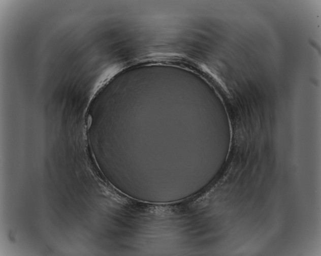 X0000091641362200709131423