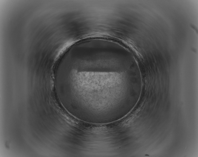 X0000091641363200709131423