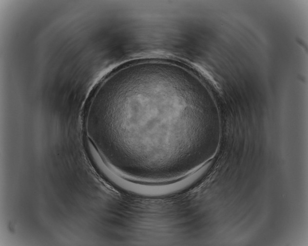X0000091641364200709131423