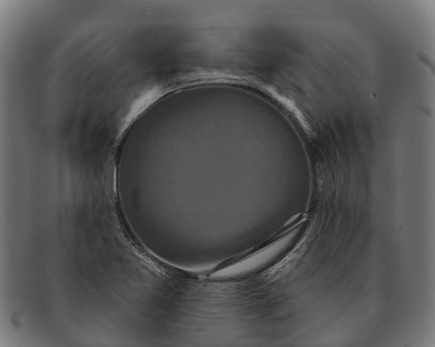 X0000091641365200709131423