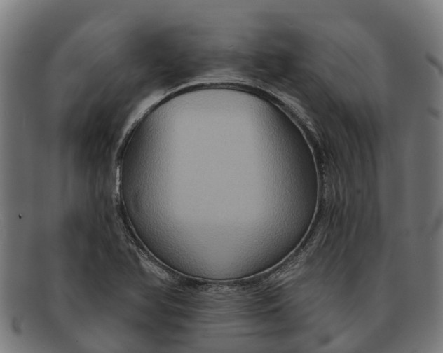 X0000091641366200709131423