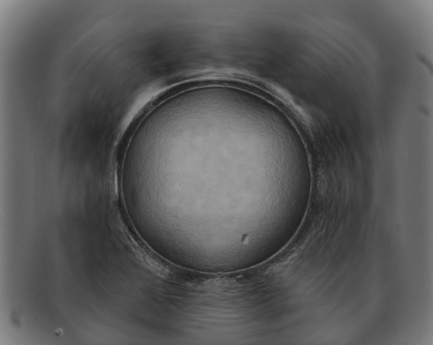 X0000091641368200709131423