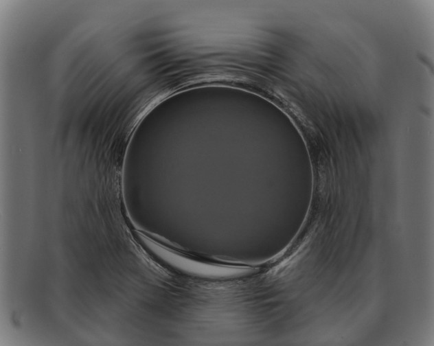 X0000091641369200709131423