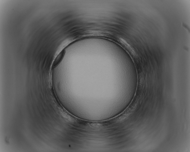 X0000091641370200709131423
