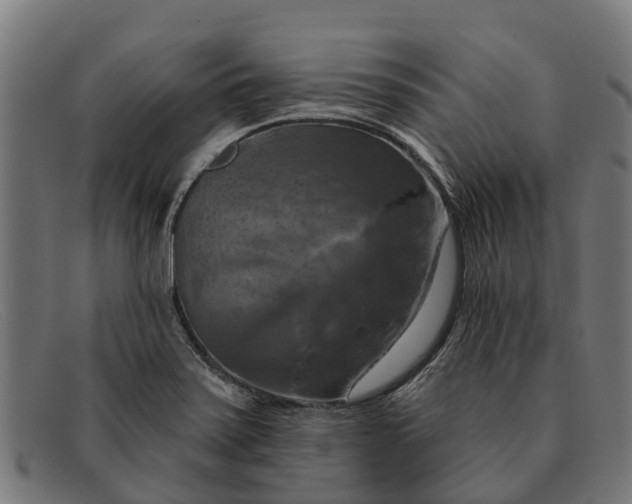 X0000091641371200709131423