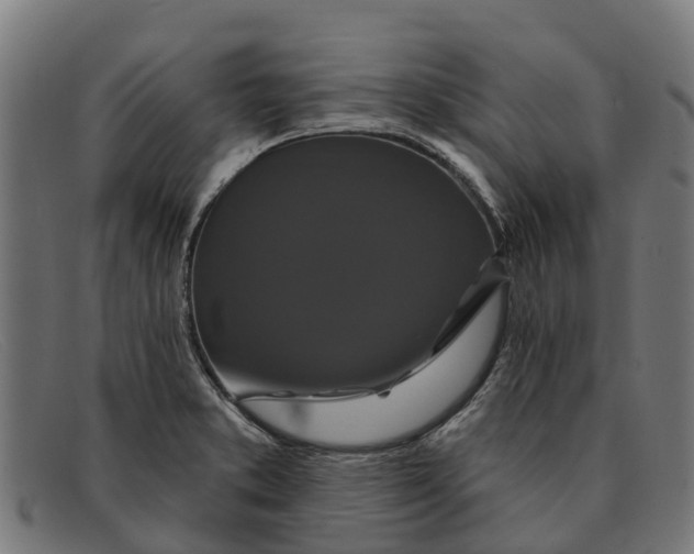 X0000091641373200709131423