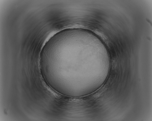 X0000091641374200709131423