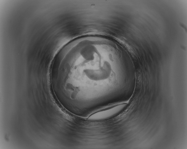 X0000091641375200709131423