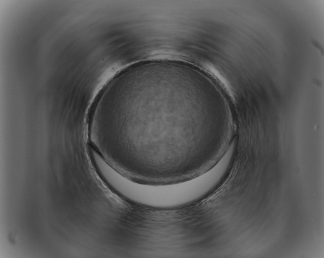X0000091641376200709131423