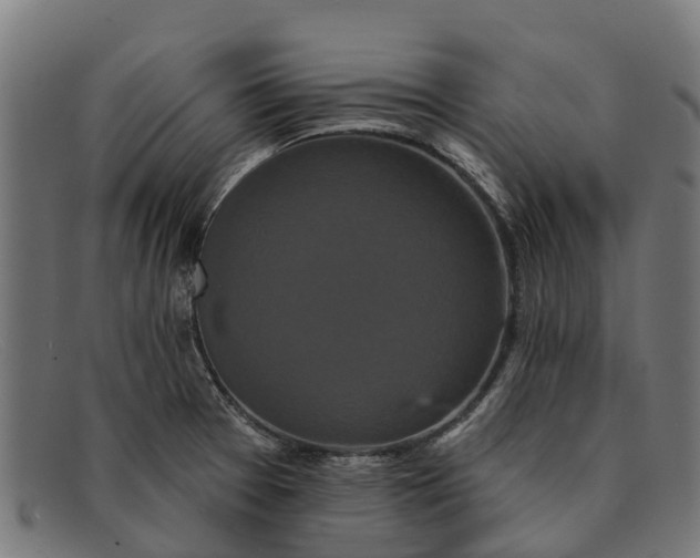 X0000091641377200709131423