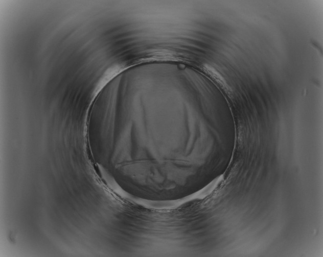 X0000091641378200709131423