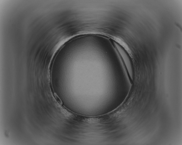 X0000091641380200709131423