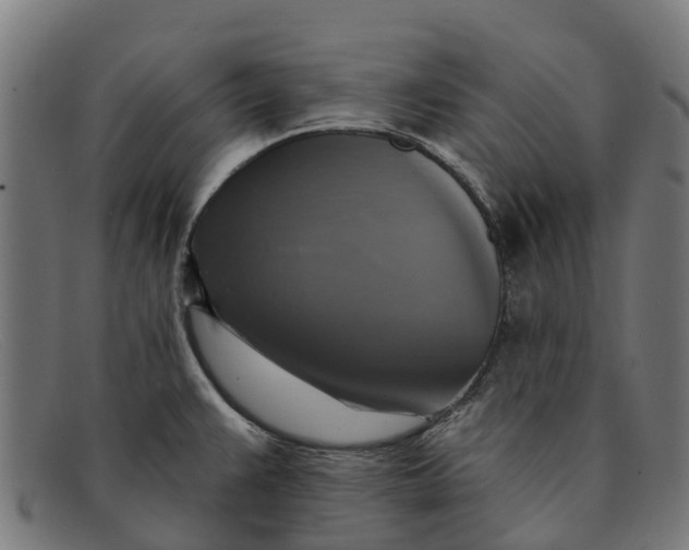 X0000091641383200709131423