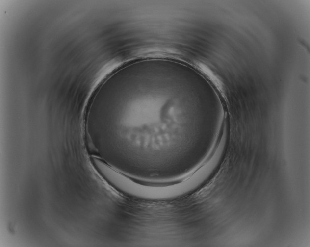 X0000091641384200709131423