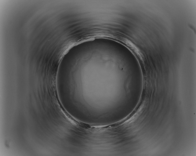 X0000091641385200709131423