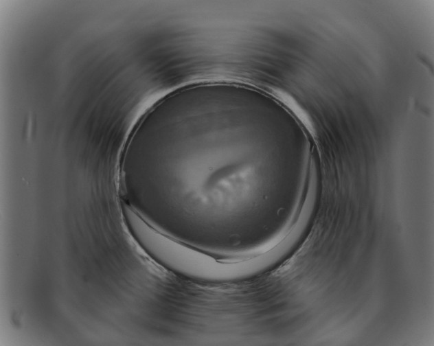 X0000091641388200709131423