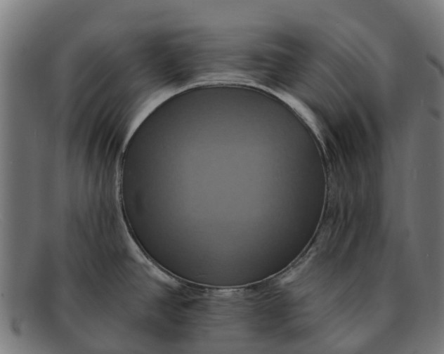 X0000091641390200709131423