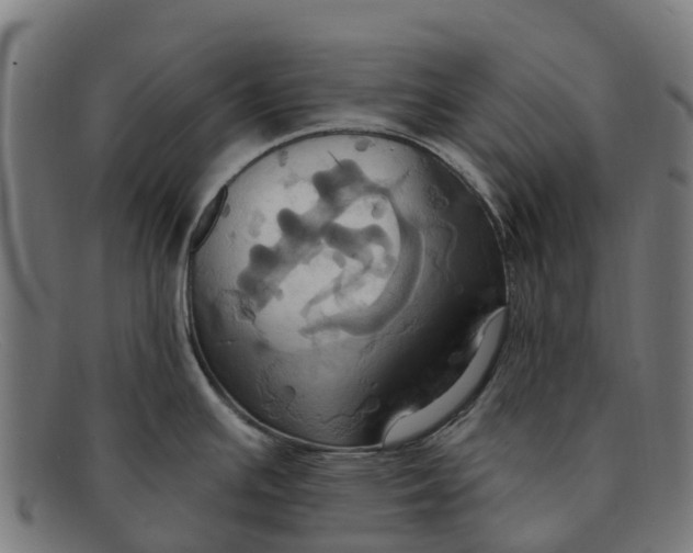 X0000091641391200709131423