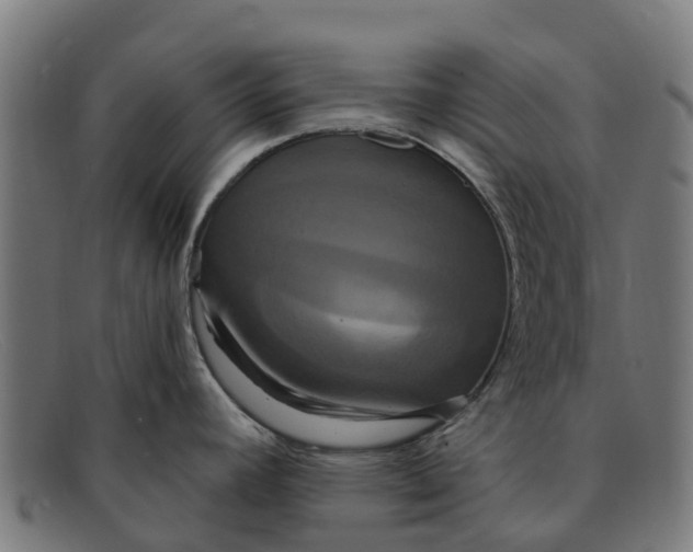 X0000091641392200709131423
