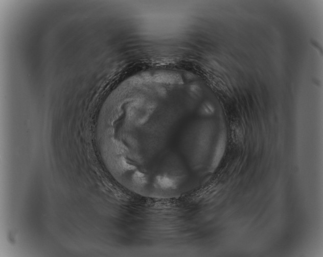 X0000091641393200709131422