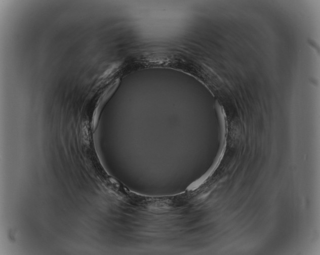 X0000091641394200709131422
