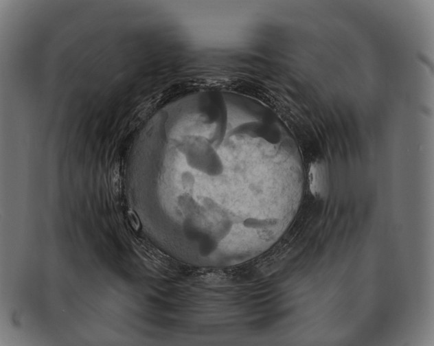 X0000091641395200709131422