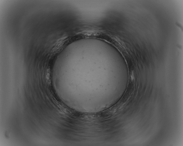 X0000091641396200709131422
