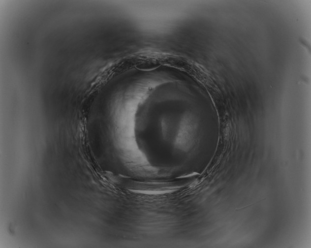 X0000091641397200709131422