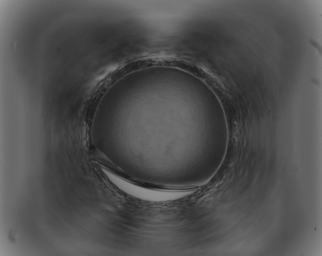 X0000091641398200709131422