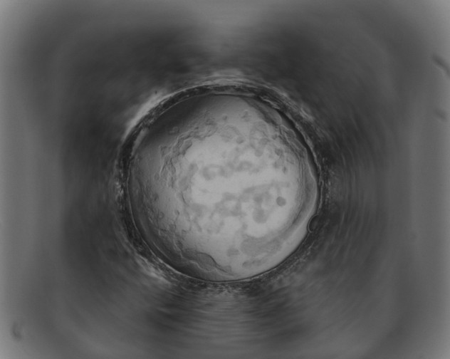 X0000091641400200709131422
