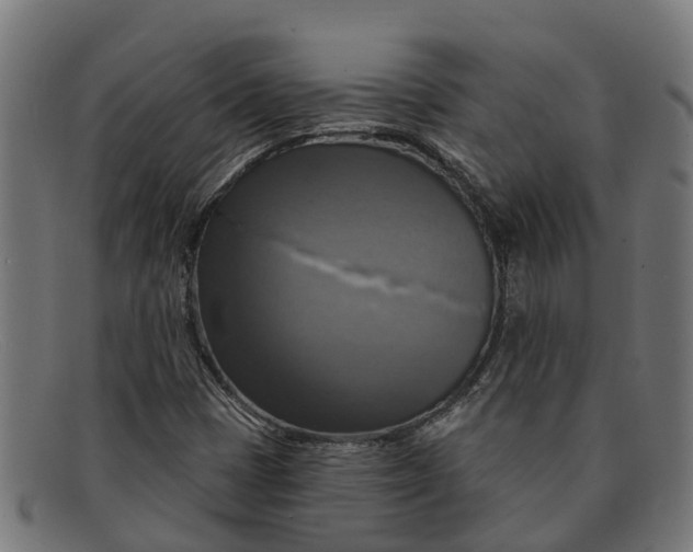X0000091641401200709131422