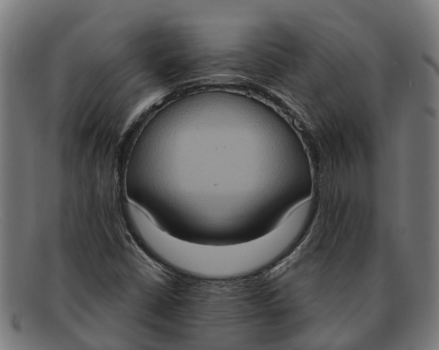 X0000091641402200709131422
