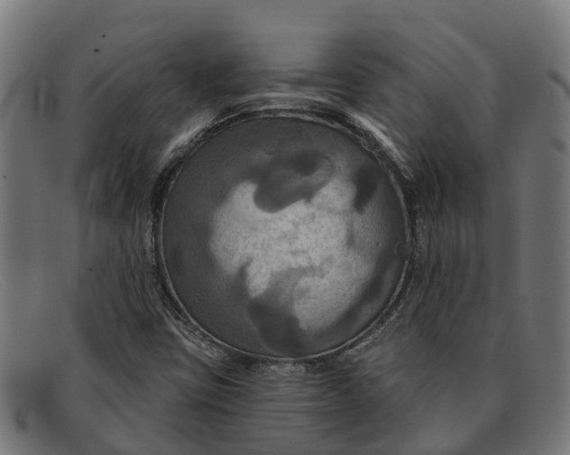 X0000091641403200709131422