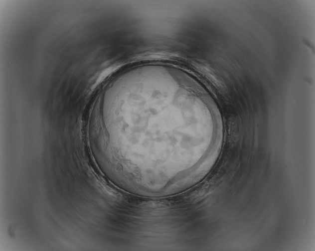 X0000091641404200709131422