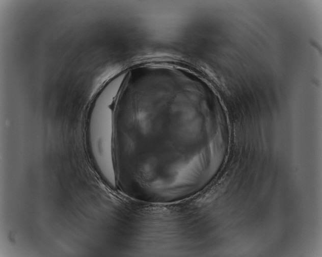 X0000091641405200709131422