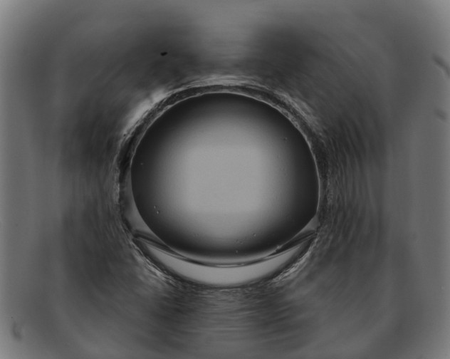 X0000091641406200709131422