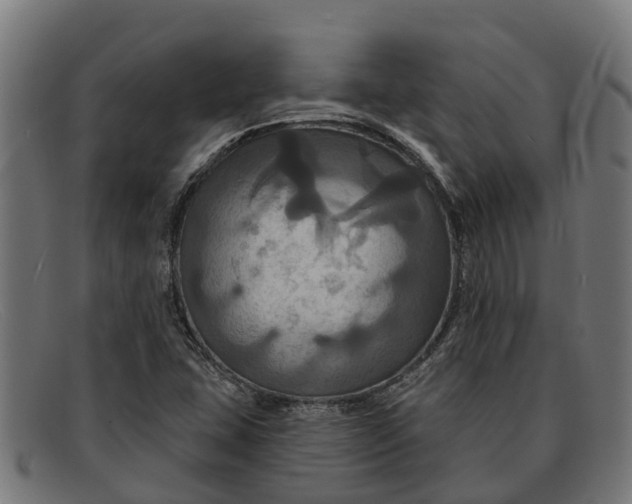 X0000091641407200709131422