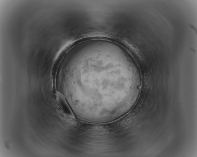 X0000091641408200709131422