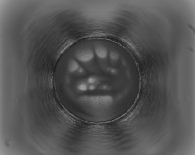 X0000091641409200709131422