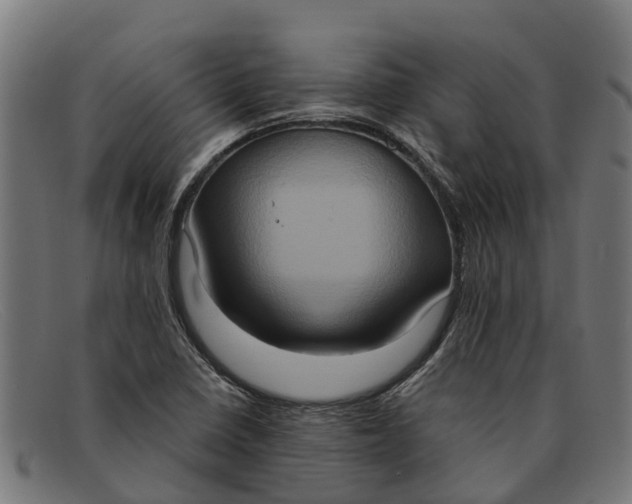 X0000091641410200709131422