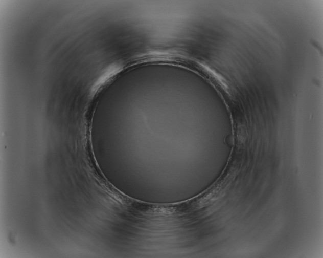 X0000091641411200709131422