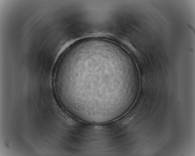X0000091641412200709131422