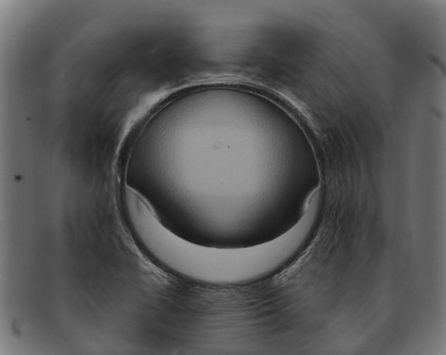 X0000091641414200709131422