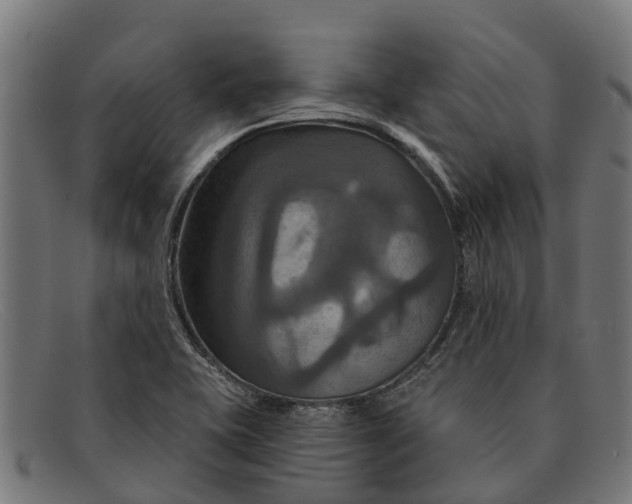 X0000091641415200709131422