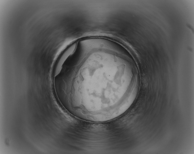 X0000091641416200709131422