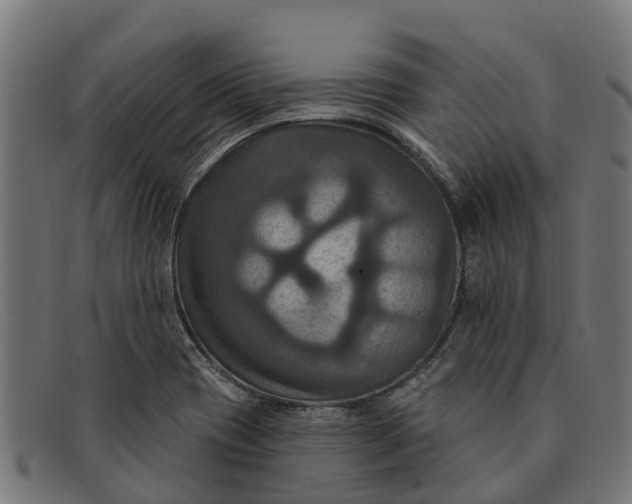 X0000091641417200709131422