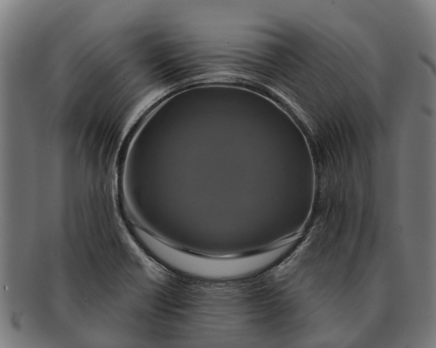 X0000091641418200709131422